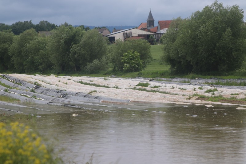 Inondations aspergeraies