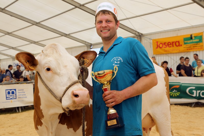 Festival de l'élevage - Simmental - Grande champio