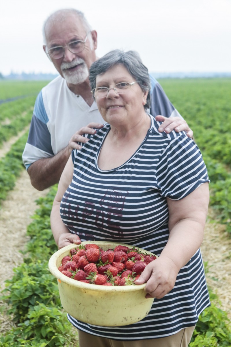 lancement-fraises-2016_02.jpg