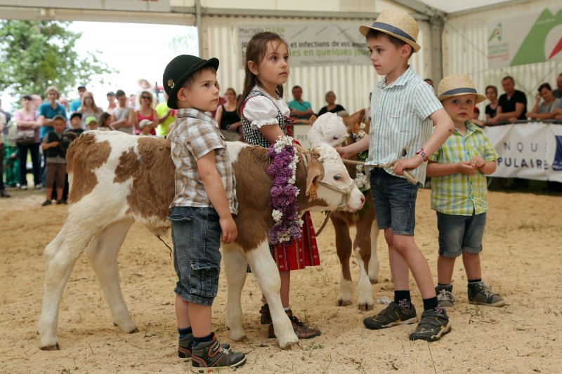 Festival de l'élevage - Enfants - 03.jpg