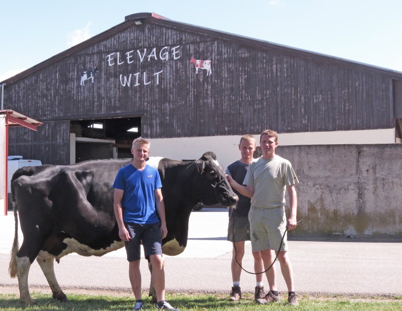 JA Canton de Molsheim017-Ferme Wilt