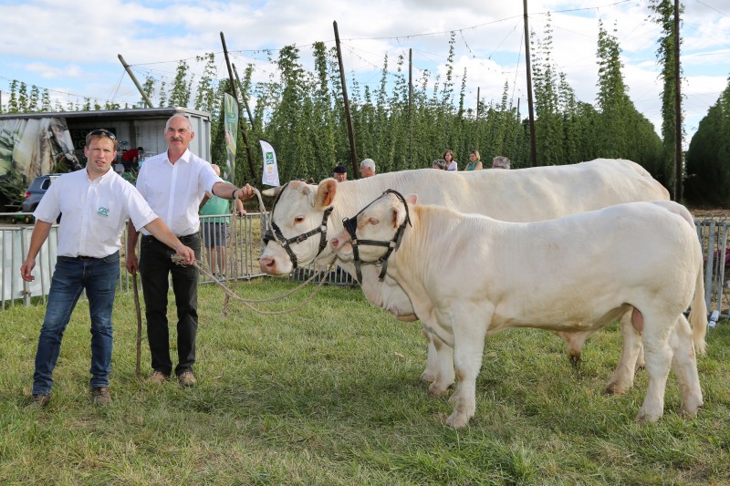 FDL - Concours charolais - 04 - Champ F.jpg