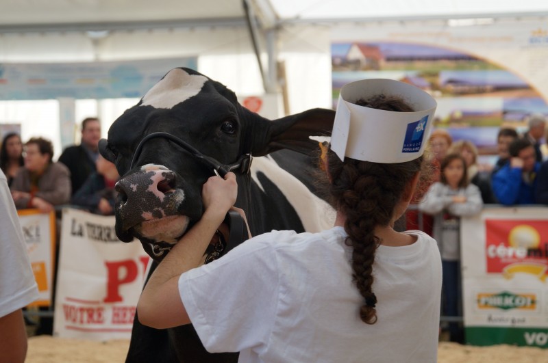 Simon et Jude 201535.jpg