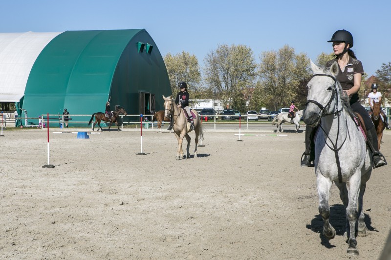 option-hippologie-rouffach.jpg