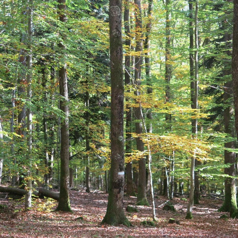 Albé-90.JPG