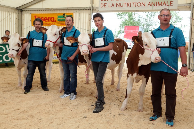 Festival de l'élevage - Concours Montbéliarde.jpg