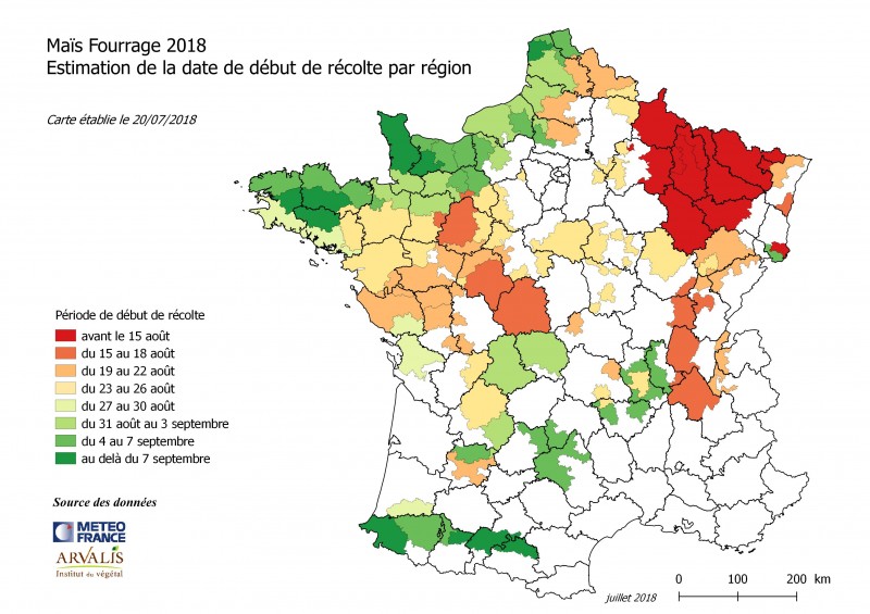 Maïs fourrage 2018-2.jpeg