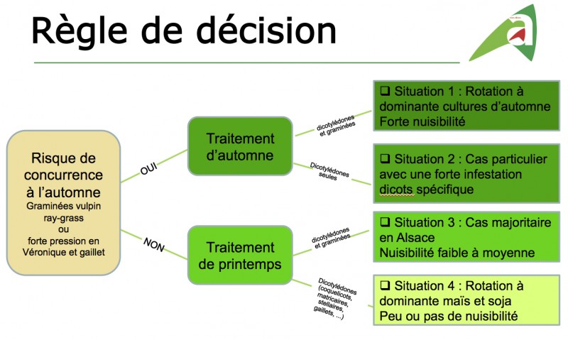 Blé-2018-Règle de décision.jpg