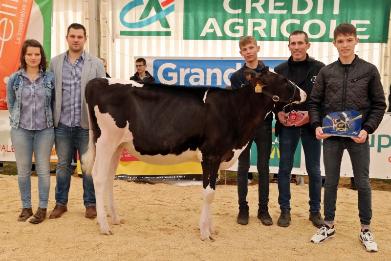 Festival de l'élevage 2019 - Concours PrimHolstein - Championne.jpg