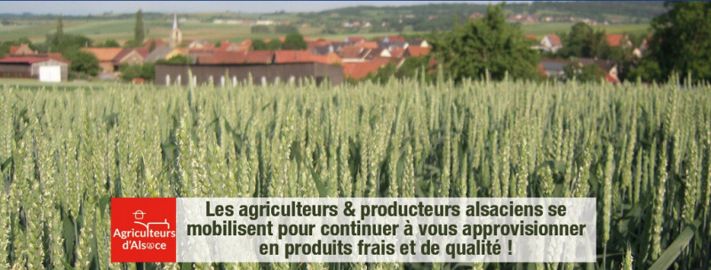 Agriculteurs d'Alsace.png