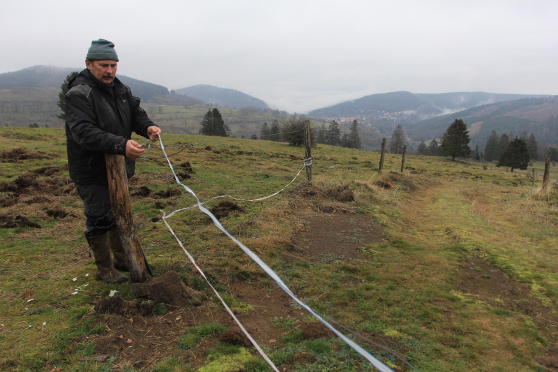 Responsabilité, agriculteurs, Huckert, 