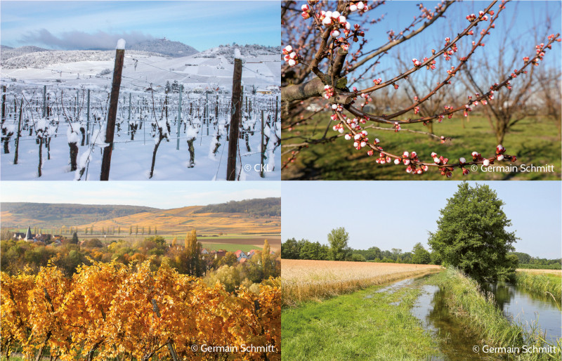 montage-quatre-saisons-2021.jpg