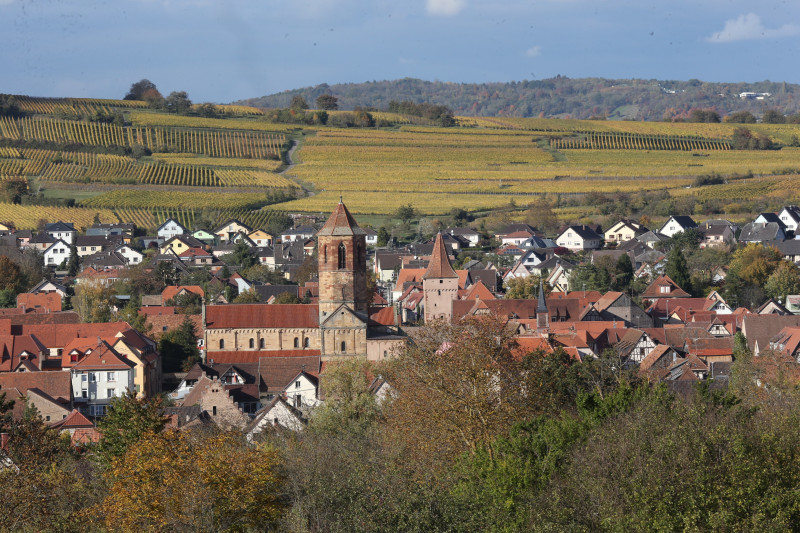 Vue%20de%20Rosheim%20et%20des%20vignes%20%C2%A9Ge%CC%81rard%20ANDLAUER.JPG