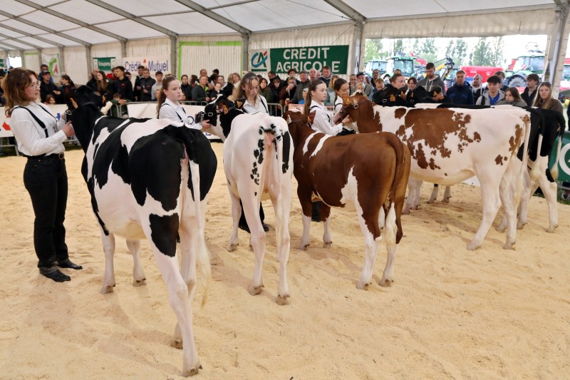 Festival 2026 - 11 - Concours de présentation.jpg
