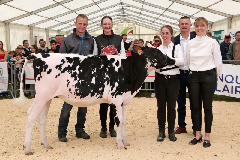 Festival 2026 - 52 - Holstein - Grande Championne génisse.jpg
