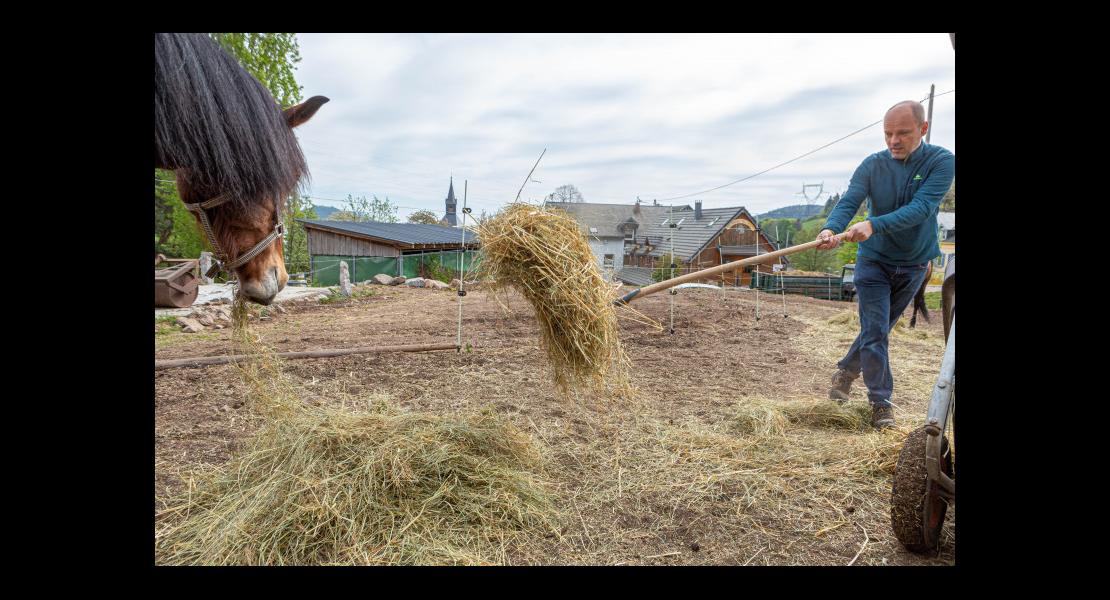 filiere-equine-covid_01.jpg