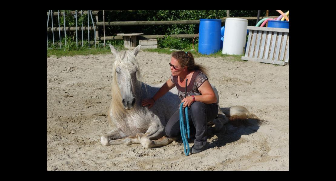 Kitty Lienhard Chuchotteuse chevaux 300620-5.JPG