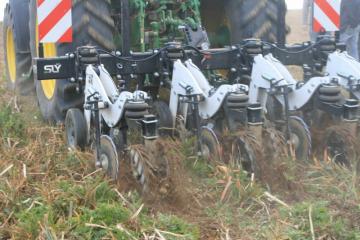 Strip till Sly
