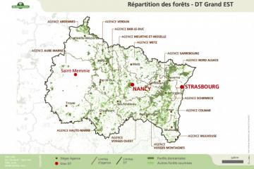 20160520_Repartition_des_forets_DT_Grand%20EST.jpg