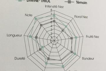 DIWINE