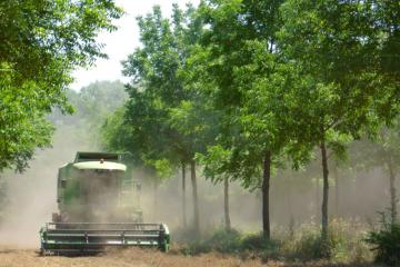 dispositif-agroforesterie-temperee.jpg