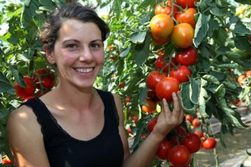 Libre cueillette légumes - 02 - Devivier Laure.jpg