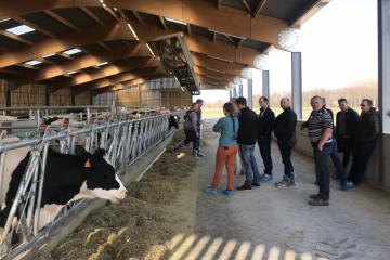 IMG_6686.JPG