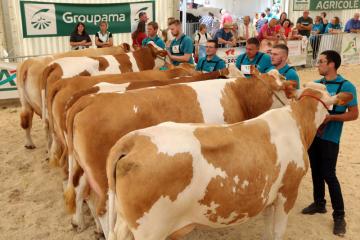 FDLE 2022 - Concours Simmental - 01.jpg