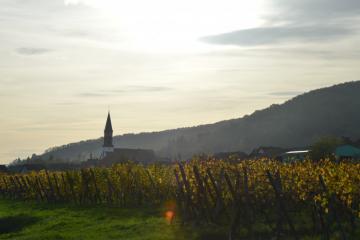 route_des_vins_automne_2022_DSC_0207.JPG