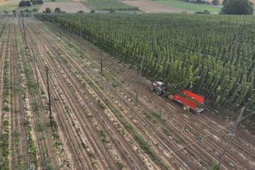 Drone recolte houblon 060922-2.JPG