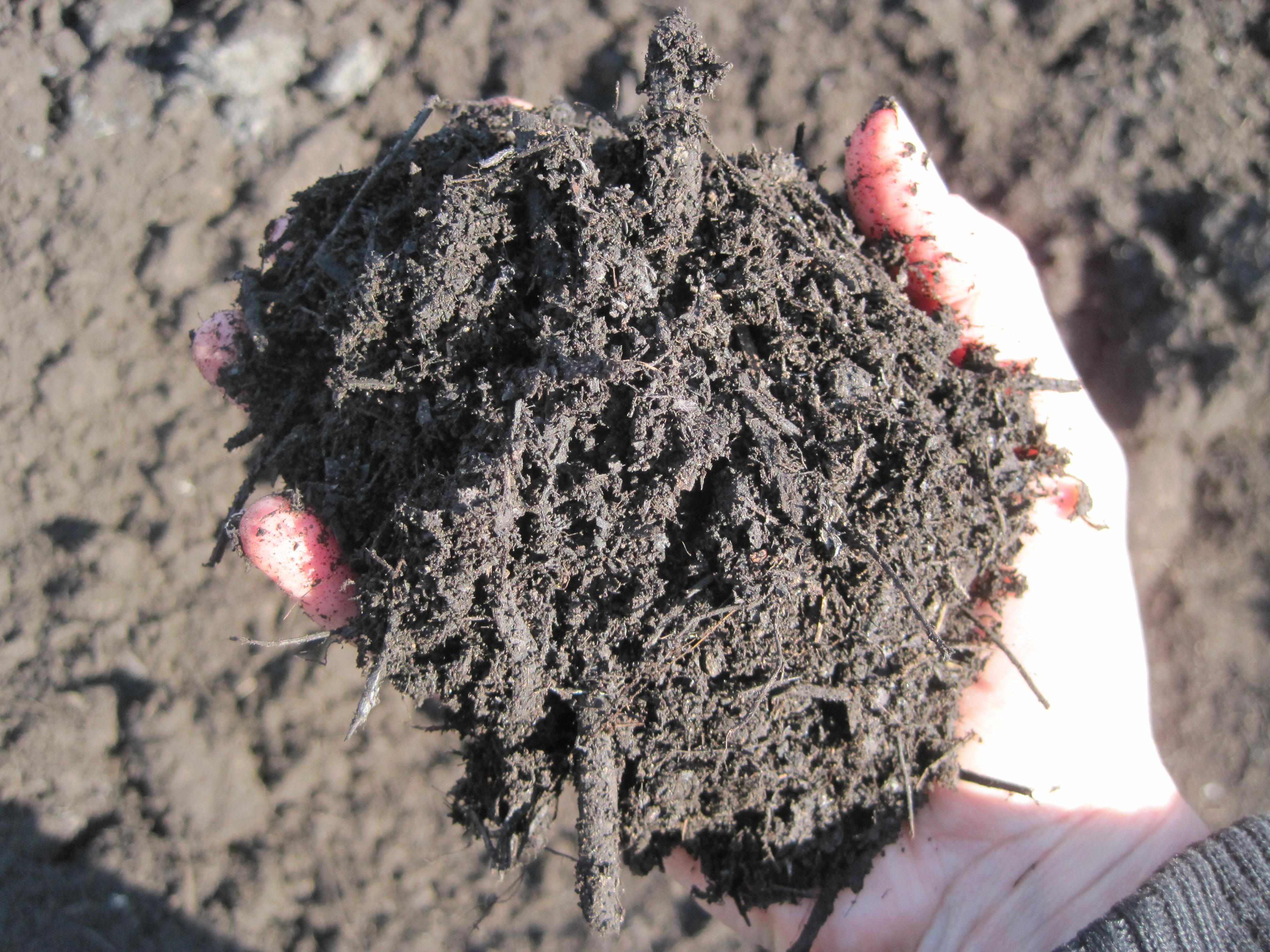 compost-fertilite-sols-mo-matieres-organiques-agronomie-printemps-2025-CAA.jpg