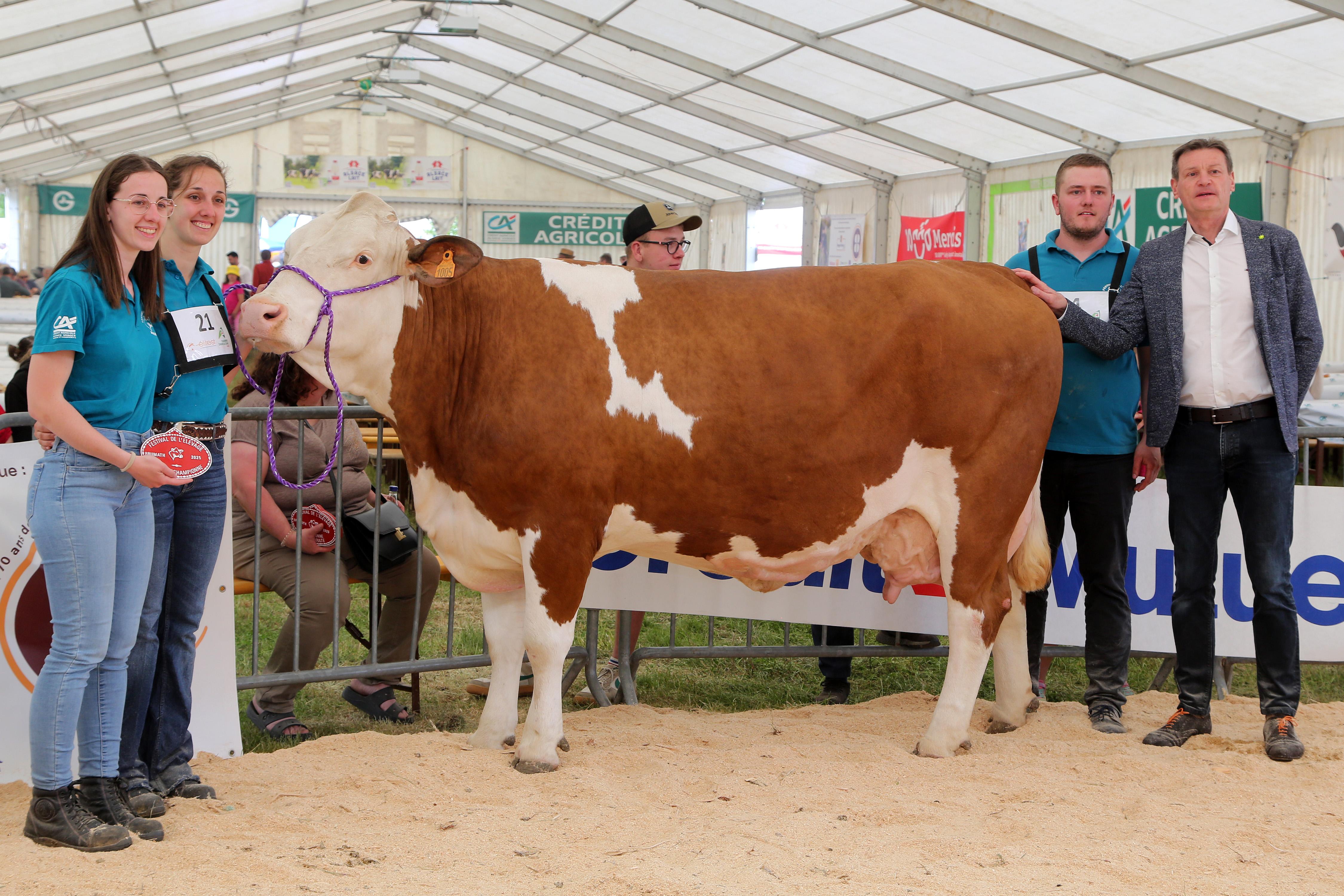 Festival 2025 - 13 -  Grande champ simmental.jpg