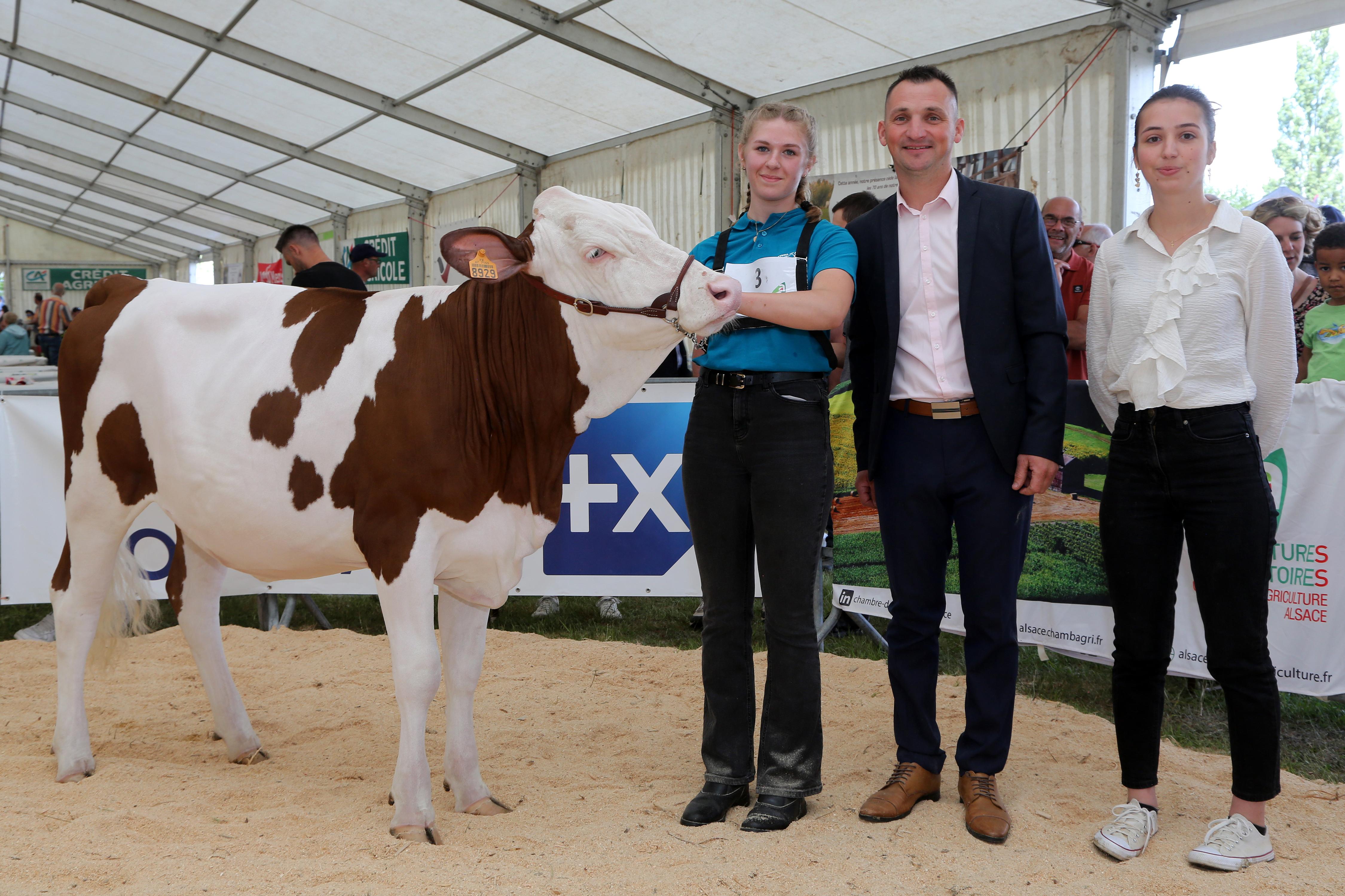Festival 2025 - 15 - Champ montbeliarde.jpg